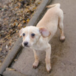 20251126-fotos-sassy-7