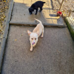 20251126-fotos-sassy-8