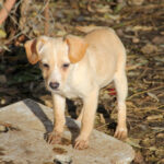 20251126-fotos-sassy-9