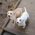 20251126-fotos-skipper-06