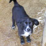 20251126-fotos-sushi-1