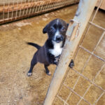 20251126-fotos-sushi-2