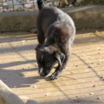 20251126-fotos-sushi-3