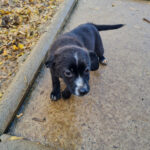 20251126-fotos-sushi-4