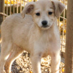 20251126-fotos-suzuki-1