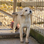 20251126-fotos-suzuki-2