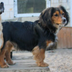 20251228-fotos-bobisha-3