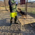 20251228-fotos-future-1