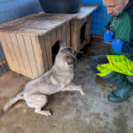 20251228-fotos-josephine-1