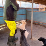 20251228-fotos-kasper-1