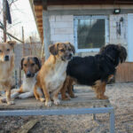 20251228-fotos-millie-07