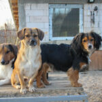 20251228-fotos-millie-08