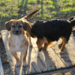 20251228-fotos-millie-09