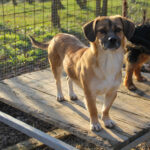 20251228-fotos-millie-10