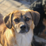 20251228-fotos-millie-11