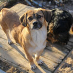 20251228-fotos-millie-12