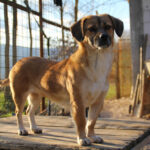 20251228-fotos-millie-13