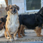 20251228-fotos-millie-14