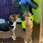 20251228-fotos-millie-15