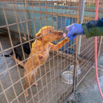 20251228-fotos-mira-2