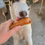 20251228-fotos-sasaki-1