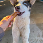 20251228-fotos-sasaki-2