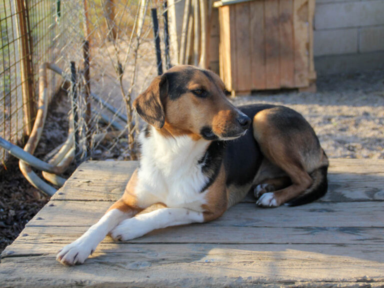 20251228-fotos-zlaja-3