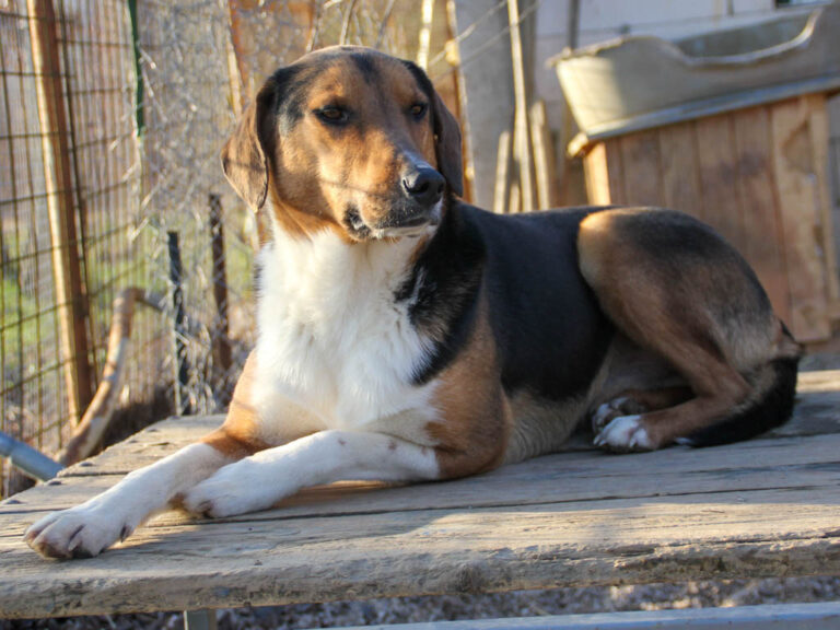 20251228-fotos-zlaja-4