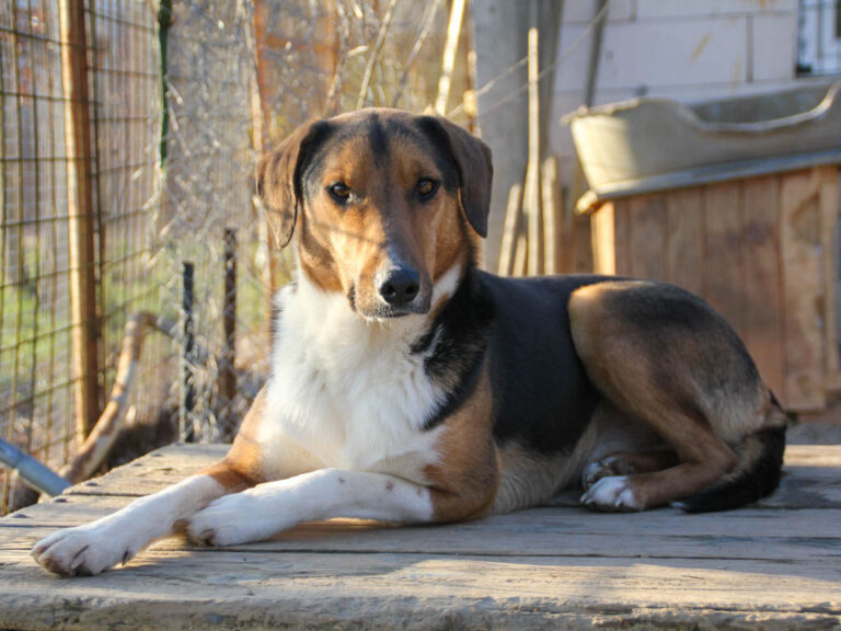 20251228-fotos-zlaja-5