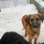 20260105-fotos-alma-1