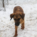 20260105-fotos-alma-2