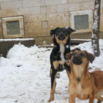 20260105-fotos-alma-3