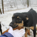 20260105-fotos-anika-1