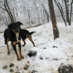 20260105-fotos-anika-2