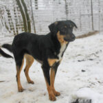 20260105-fotos-anika-3