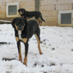 20260105-fotos-anika-4