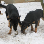 20260105-fotos-anika-5