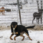 20260105-fotos-anika-6