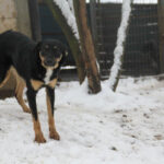 20260105-fotos-anika-7