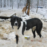 20260105-fotos-chantal-1