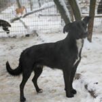 20260105-fotos-fiona-1