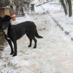 20260105-fotos-fiona-3