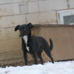 20260105-fotos-fiona-4