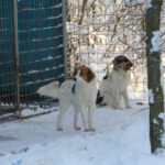 20260105-fotos-friedrich-2