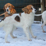 20260105-fotos-friedrich-3