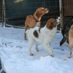 20260105-fotos-friedrich-4