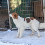 20260105-fotos-friedrich-5