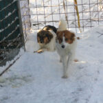 20260105-fotos-friedrich-8