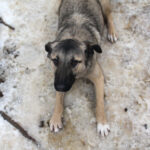 20260105-fotos-josephine-1 (1)