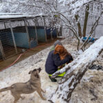 20260105-fotos-josephine-1